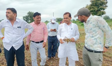 विधायक मकवाना ने राजस्व और कृषि विभाग की टीम के साथ किया खेतो का सर्वे