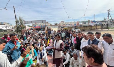 घोडारोज से परेशान किसानों ने जावरा में रैली निकाली, एसडीएम कार्यालय में धरना दिया ,ज्ञापन सौंपकर बताई परेशानी और निजात दिलाने की मांग रखी