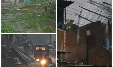 रतलाम:आंधी तूफान के साथ बारिश, गिरे दर्जनों पेड़, कई बिजली के पोल भी धराशाई हुए, बिजली गिरने से कई जगह हुए हादसे, 2 लोगों की मौत हुई