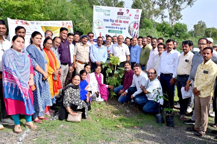 ’एक पेड माँ के नाम’ अभियान अंतर्गत कलेक्टर सहित अधिकारी/कर्मचारियों ने किया पौधारोपण