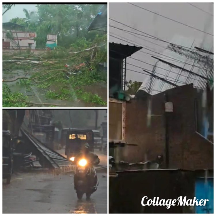 रतलाम:आंधी तूफान के साथ बारिश, गिरे दर्जनों पेड़, कई बिजली के पोल भी धराशाई हुए, बिजली गिरने से कई जगह हुए हादसे, 2 लोगों की मौत हुई