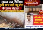 ये कैसी मंडी जहाँ महिला भारसाधक अधिकारी होने के बाद भी महिलाओं को गंदगी में शौच के लिए जाना पड़ रहा  कृषि मंडी के हाल बेहाल, ना साफ सफाई ना पीने का पानी  शौचालयो में जमी गंदगी, सचिव ने जिम्मेदारी से झाड़ा पल्ला!